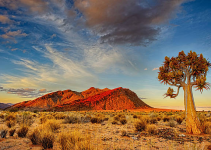 10 Things to Take with You to Kalahari 10 Things to Take with You to Kalahari