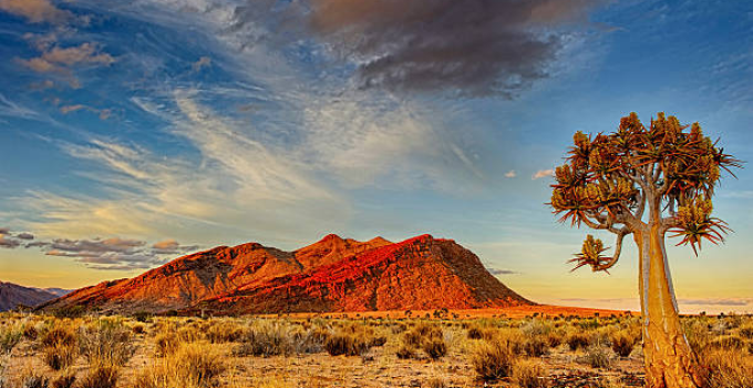 10 Things to Take with You to Kalahari